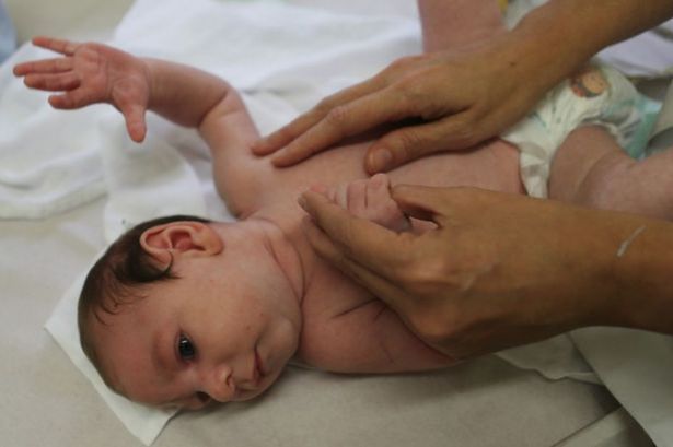 Zika Virus in Pakistan – What to Know About